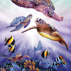 Jigsaw puzzle: Dive turtle