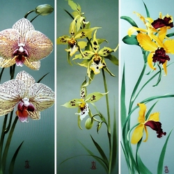Jigsaw puzzle: Orchids on silk