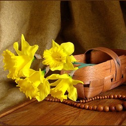 Jigsaw puzzle: Daffodils in a basket