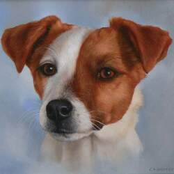 Jigsaw puzzle: Jack Russell