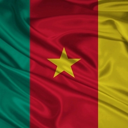 Jigsaw puzzle: Cameroon flag