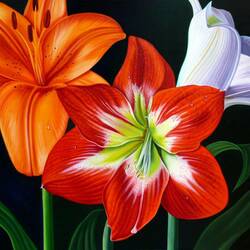 Jigsaw puzzle: Lilies and hippeastrum