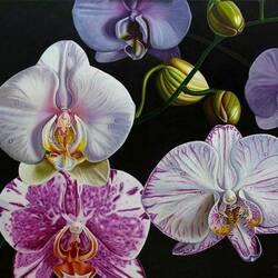 Jigsaw puzzle: Orchid fantasy