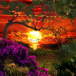 Jigsaw puzzle: Colorful sunset