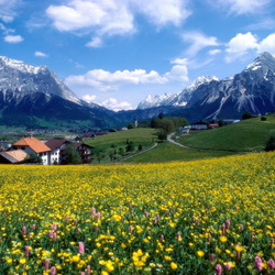 Jigsaw puzzle: Alps. Valley of Flowers
