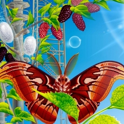 Jigsaw puzzle: Butterfly and blackberry