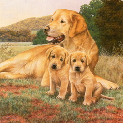 Jigsaw puzzle: Mom with puppies
