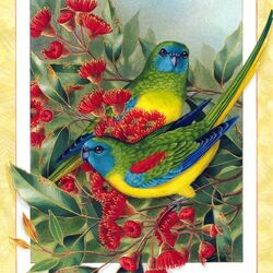 Jigsaw puzzle: Azure Grass Parrot