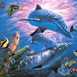Jigsaw puzzle: Dolphin family