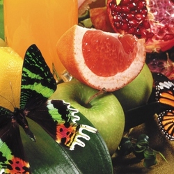Jigsaw puzzle: Butterflies and fruits