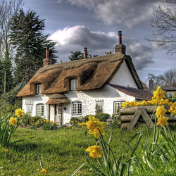 Jigsaw puzzle: Spring came