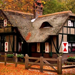 Jigsaw puzzle: House in the autumn forest