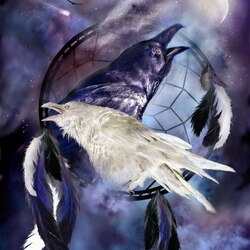 Jigsaw puzzle: Dreamcatcher - Raven Spirit