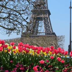 Jigsaw puzzle: Spring Paris