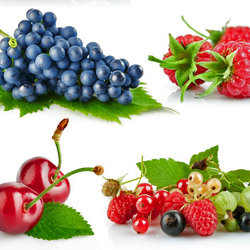 Jigsaw puzzle: Berries and fruits