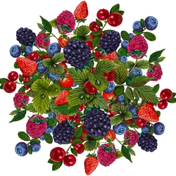 Jigsaw puzzle: Berry mix