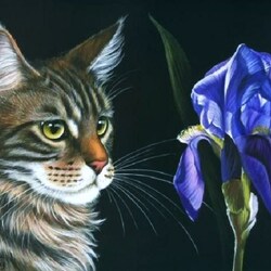 Jigsaw puzzle: Cat and iris flower