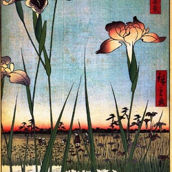 Jigsaw puzzle: 100 known species of Edo. Sheet number 56. Irises in Horikiri
