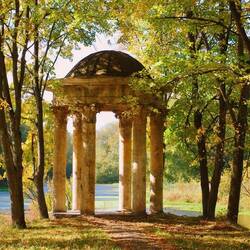 Jigsaw puzzle: Gazebo in the autumn forest