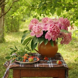 Jigsaw puzzle: Pink peonies