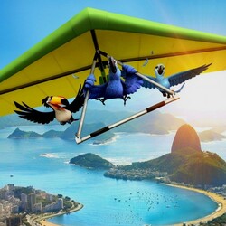 Jigsaw puzzle: Flight of Rio