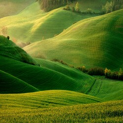 Jigsaw puzzle: The beautiful hills of Tuscany