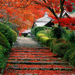 Jigsaw puzzle: Japanese garden