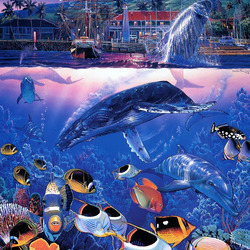 Jigsaw puzzle: Underwater and above water