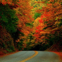 Jigsaw puzzle: Road to autumn