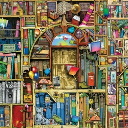 Jigsaw puzzle: Strange bookstore
