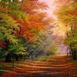 Jigsaw puzzle: The rays of the autumn sun