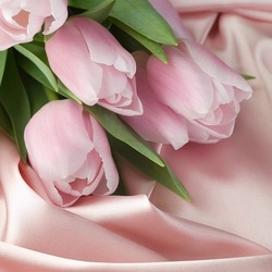 Jigsaw puzzle: Delicate tulips