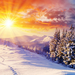 Jigsaw puzzle: Frost and sun