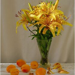 Jigsaw puzzle: Yellow tiger lilies