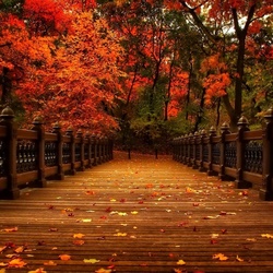 Jigsaw puzzle: Path to the autumn park