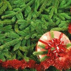 Jigsaw puzzle: Pine needles smell