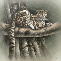 Jigsaw puzzle: Clouded leopard