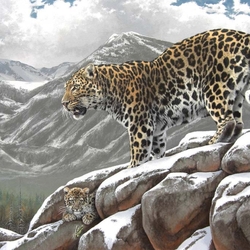 Jigsaw puzzle: Amur leopard