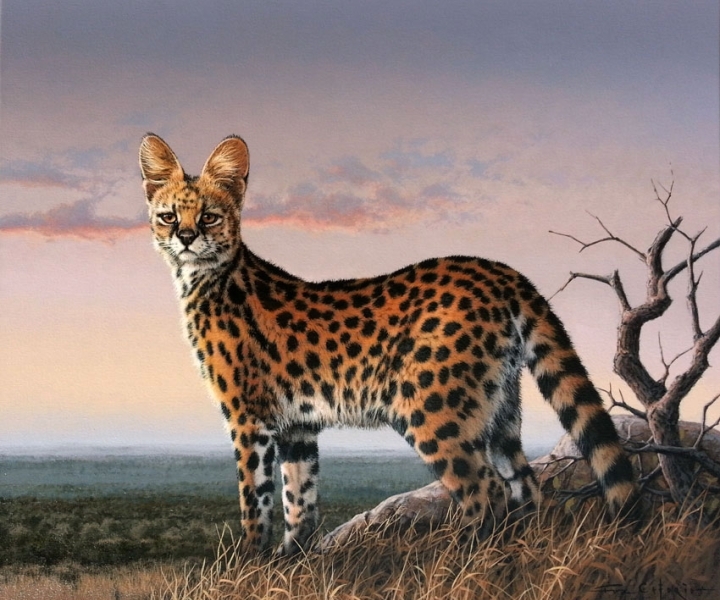 Jigsaw puzzle «Serval» - solve jigsaw puzzles online | PuzzleIt