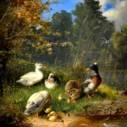 Jigsaw puzzle: Ducks with ducklings