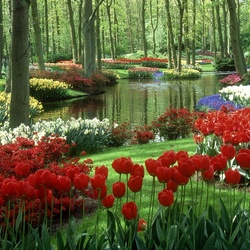 Jigsaw puzzle: Keukenhof park tulips