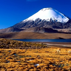 Jigsaw puzzle: Lauca National Park, Chile