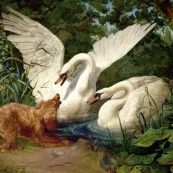 Jigsaw puzzle: Two swans and a dog