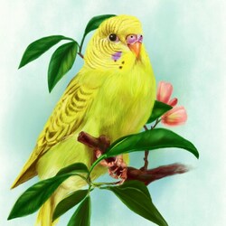 Jigsaw puzzle: Yellow parrot