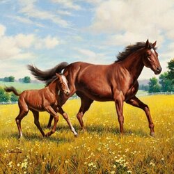 Jigsaw puzzle: Mom with foal