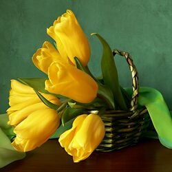 Jigsaw puzzle: Yellow tulips