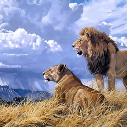 Jigsaw puzzle: Lions