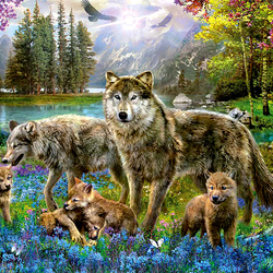 Jigsaw puzzle: Wolves