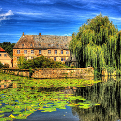 Jigsaw puzzle: Old pond