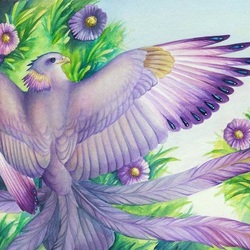 Jigsaw puzzle: Bird and aster